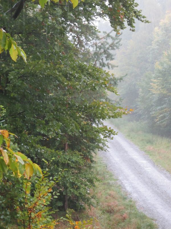 Bild 059.jpg
