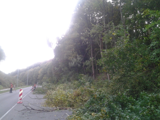 2012-10-16 08.37.59.jpg
