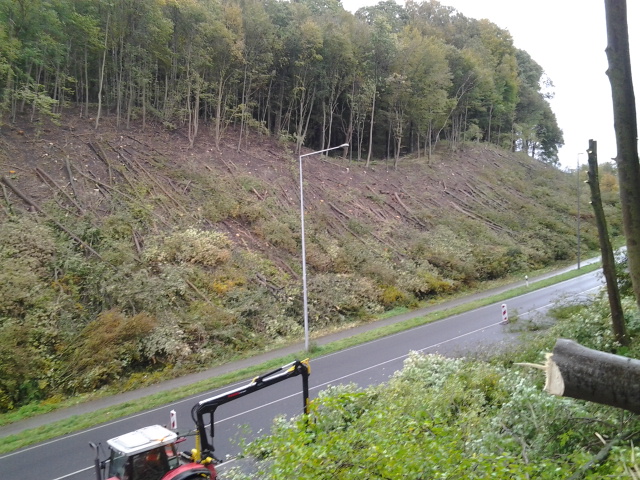 2012-10-16 10.30.24.jpg