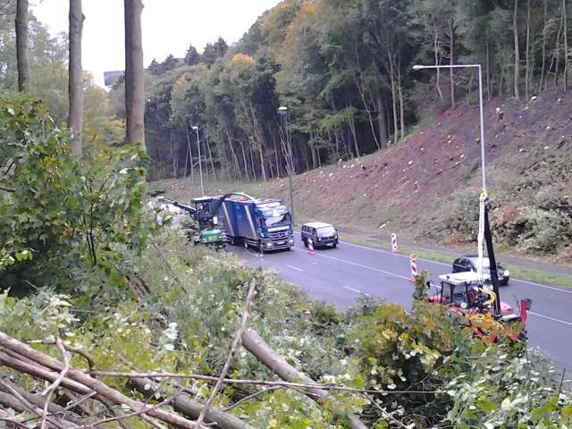 2012-10-16 10.54.44.jpg