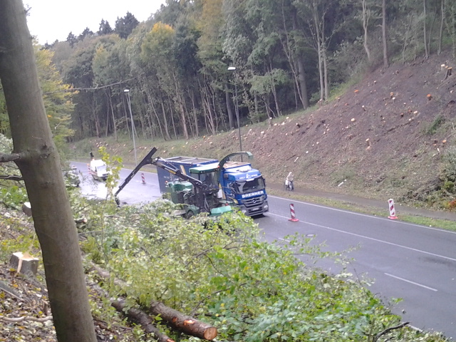 2012-10-16 11.04.54.jpg