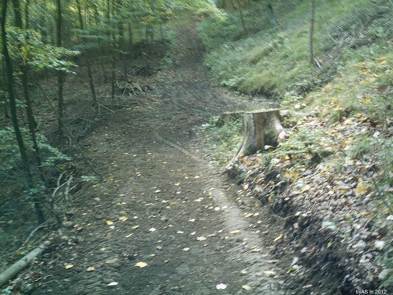 Umfahrung_von_Wurzelstoecken_IMAG0001_2.JPG