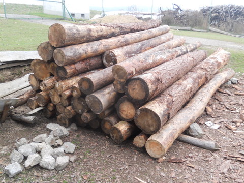 Brennholz2012 002.JPG