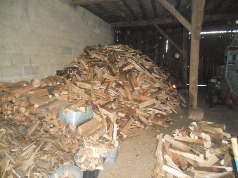 Brennholz2012 001.JPG