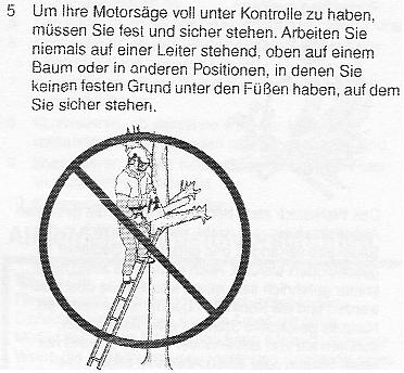 Nicht_saegen_auf_Leiter.JPG