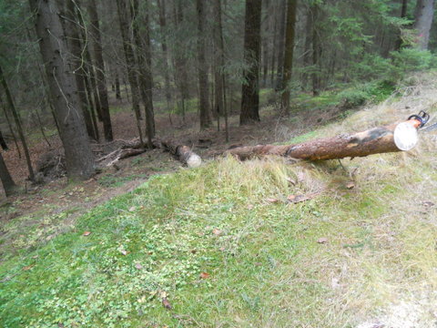 Brennholz2012 009.JPG
