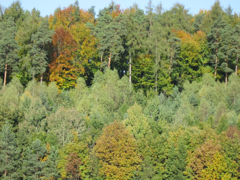 Bild 112.jpg