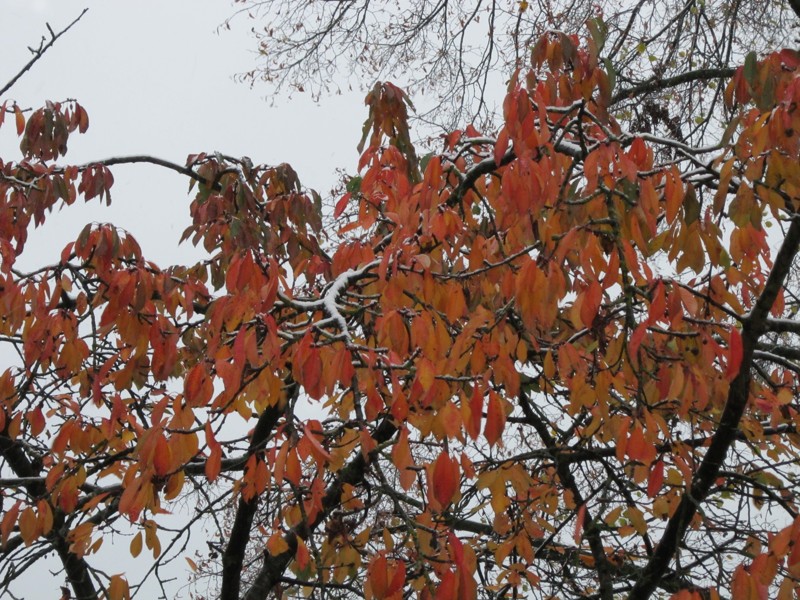 Bild 122.jpg