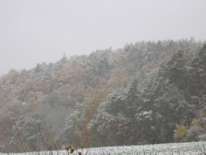 Bild 128.jpg