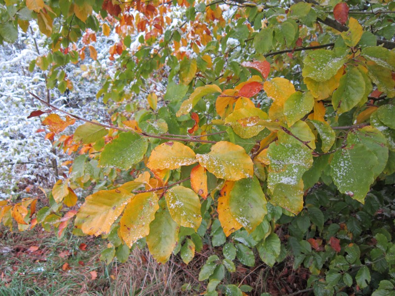 Bild 146.jpg