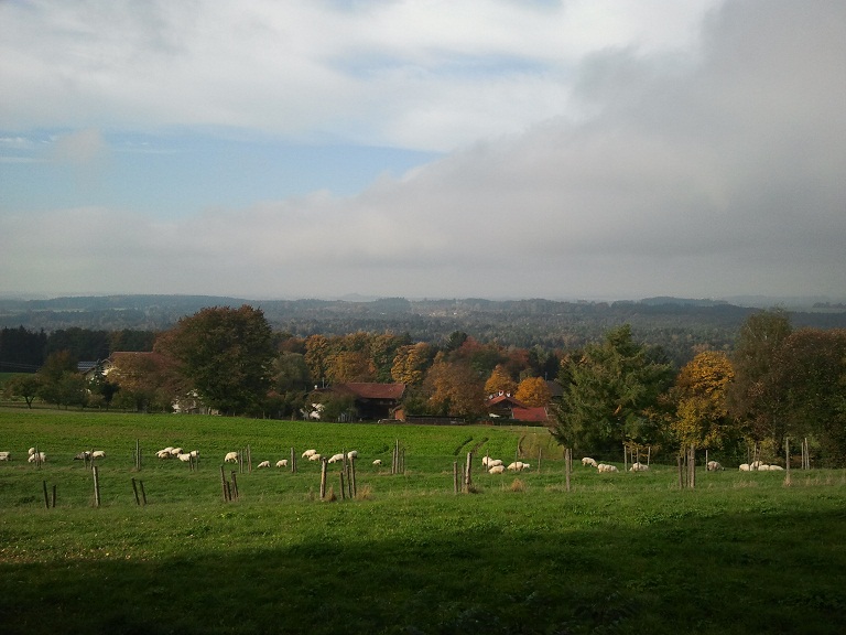 2012-10-21 10.39.20.jpg