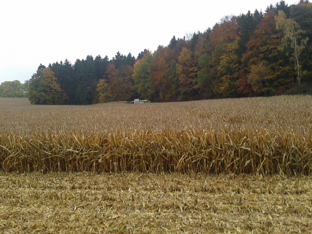 2012-10-23 11.40.59.jpg