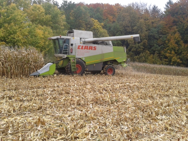 2012-10-23 12.55.36 (640x480).jpg