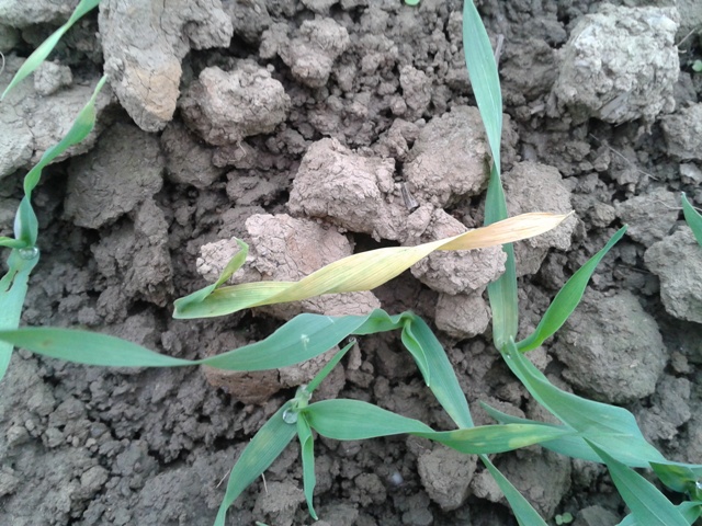 2012-10-26 14.00.48.jpg