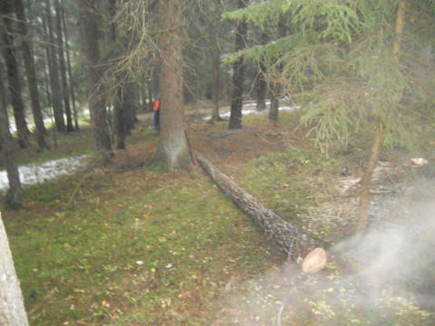 Brennholz2012 004.JPG