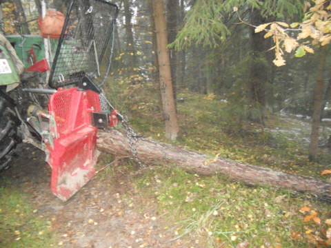 Brennholz2012 006.JPG