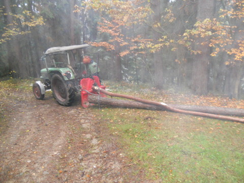 Brennholz2012 007.JPG