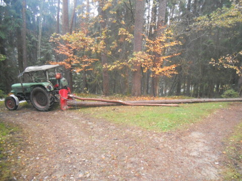 Brennholz2012 008.JPG