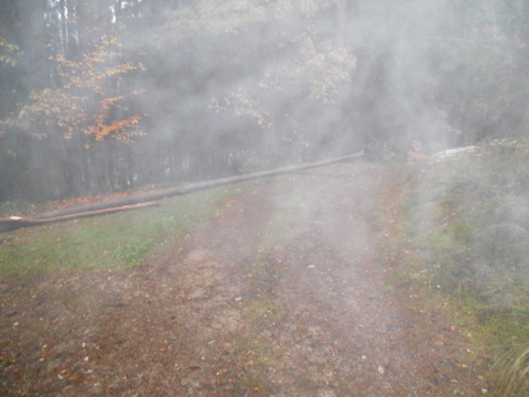 Brennholz2012 009.JPG