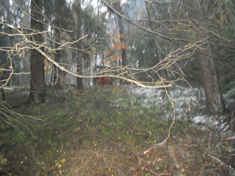 Brennholz2012 013.JPG