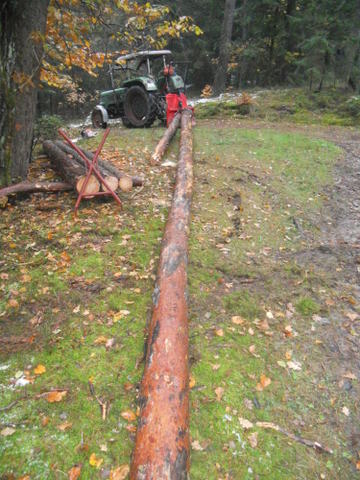 Brennholz2012 015.JPG