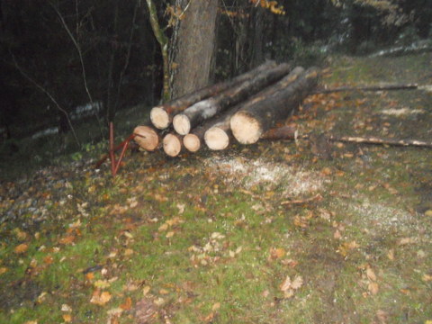 Brennholz2012 016.JPG