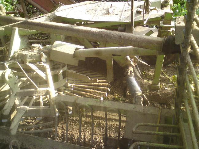 Siebstern und Rodeschar.JPG