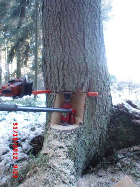 Hydraulische fällhilfe.jpg