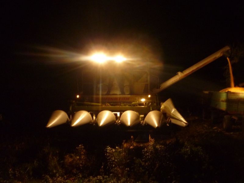 dreschen die zweite.jpg