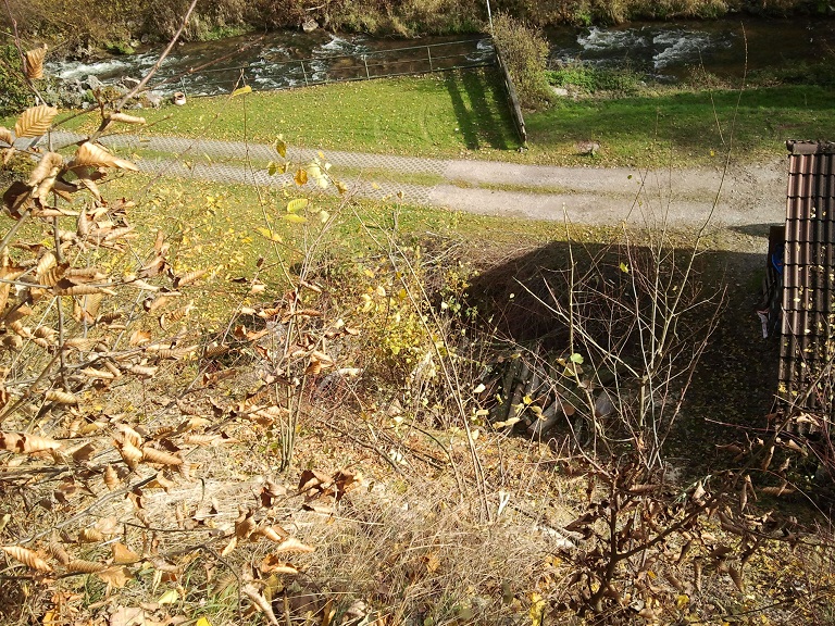 2012-11-03 11.38.43.jpg