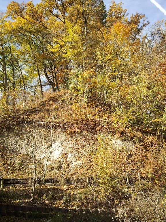2012-11-03 11.40.26.jpg