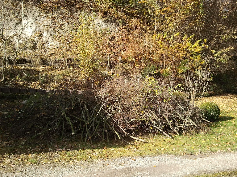 2012-11-03 11.40.33.jpg