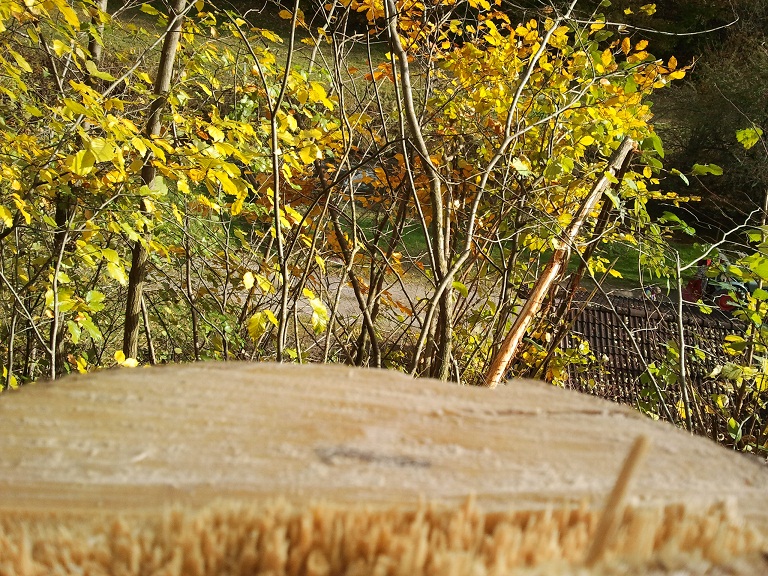 2012-11-03+11.37.32.jpg