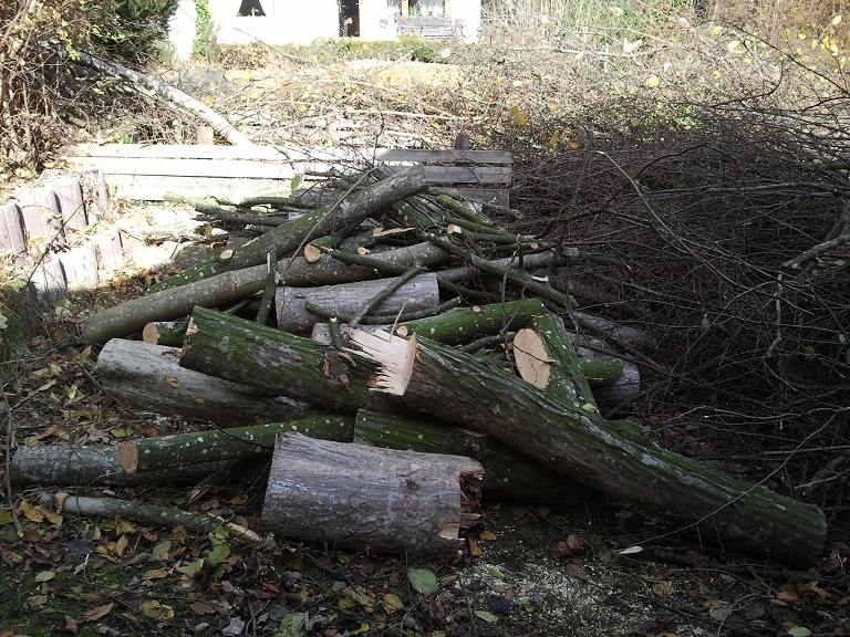 2012-11-03+11.40.12.jpg