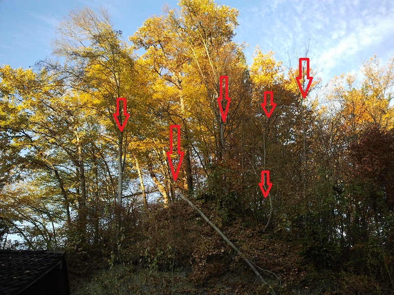 vorher.jpg