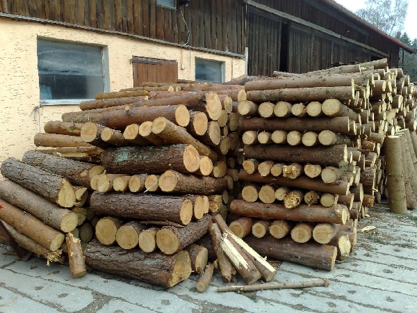 Opa Holzwurm 7.jpg