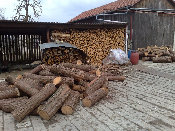 Opa Holzwurm 6.jpg
