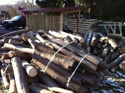 Bilder Holz 004.jpg