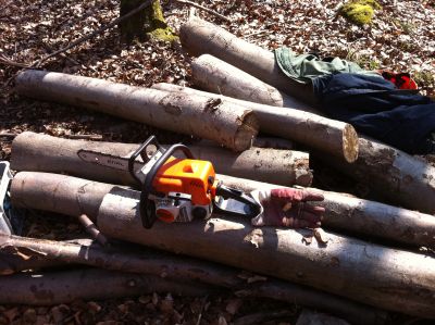 Bilder Holz 008.jpg