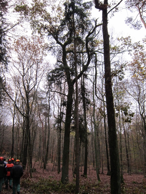 Bild 009.jpg