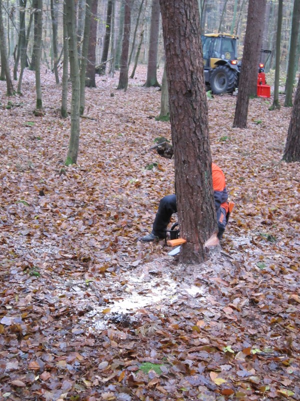 Bild 032.jpg