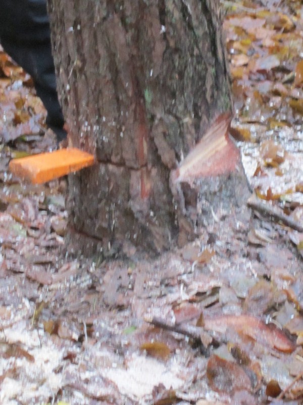 Bild 033.jpg
