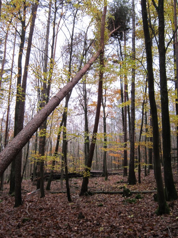 Bild 037.jpg