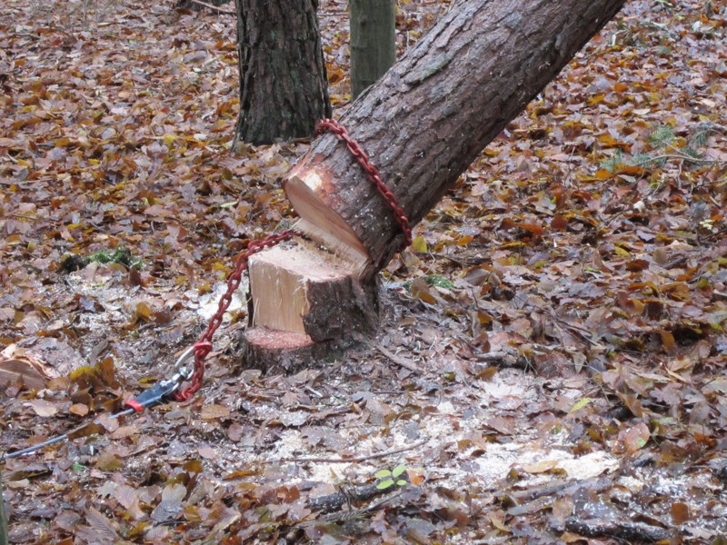 Bild 038.jpg