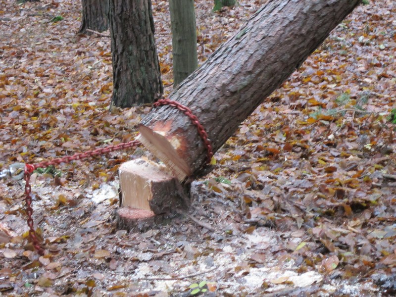 Bild 039.jpg