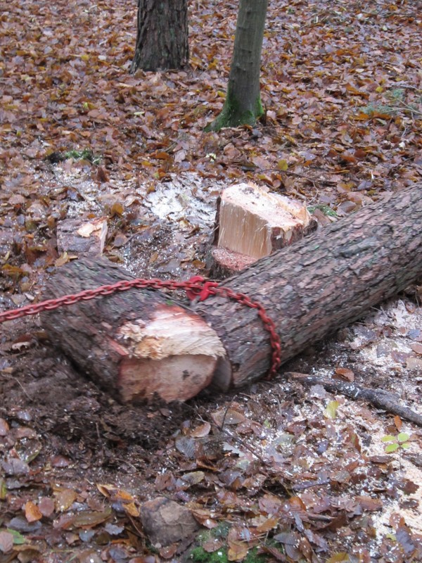 Bild 042.jpg