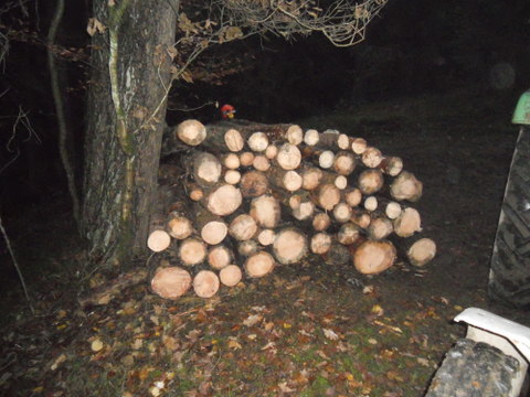 Brennholz 11-2012 001.JPG