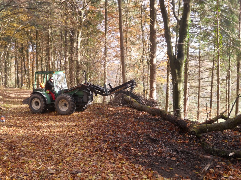 Futterbeschaffung 3.jpg