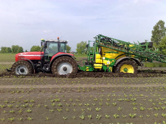 MF 8240 mit JD 840i  im nassen 2010.jpg