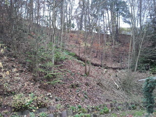 2012-11-17 09.10.06.jpg